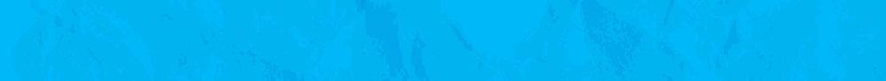 India_ki_no_1_solar_company